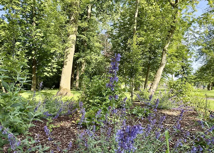 Gulfhof Butendiek - Luett Stuuv 公寓 *